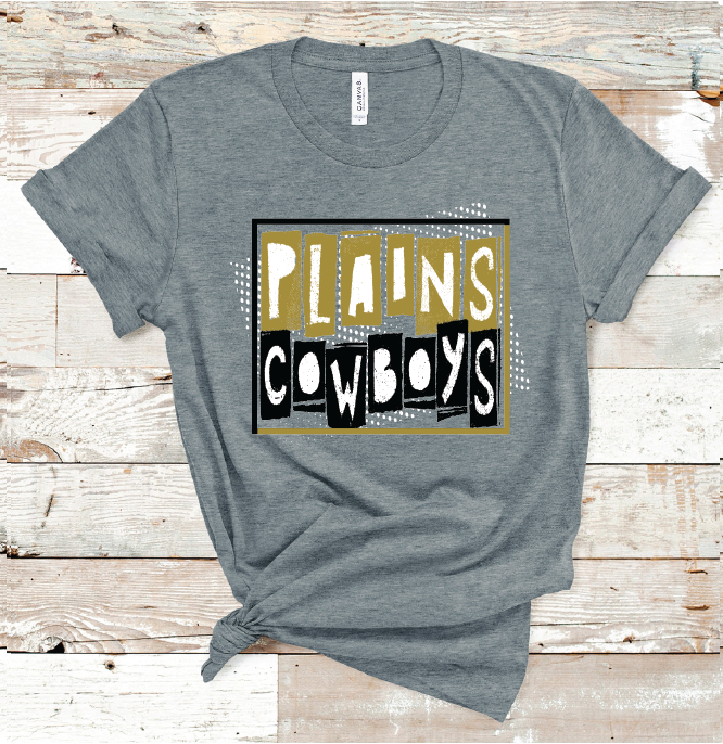 2023 PLAINS COWBOYS ART (B D GRAY)