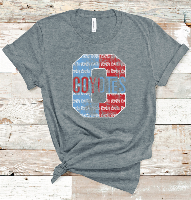 2024 BORDEN COUNTY LETTER  (DARK GRAY)