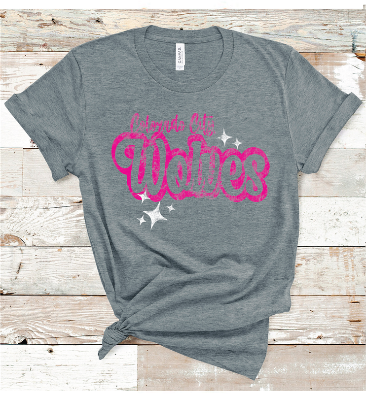 2024 COLORADO CITY  PINK WORDING (B D GRAY)