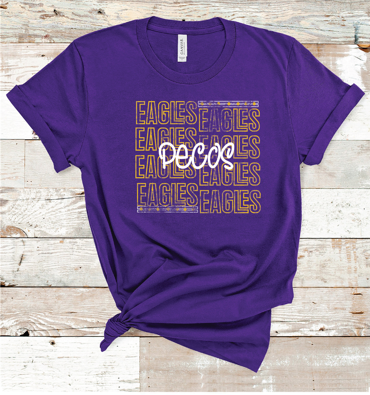 2024 PECOS EAGLES OUTLINE (PURPLE)