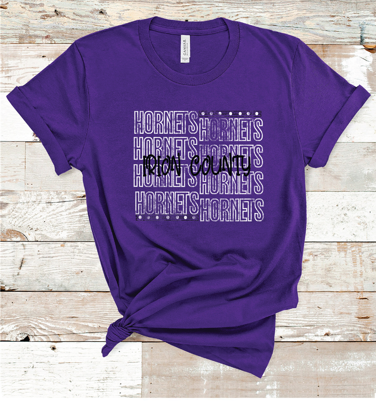 2024 IRION COUNTY OUTLINE (PURPLE)