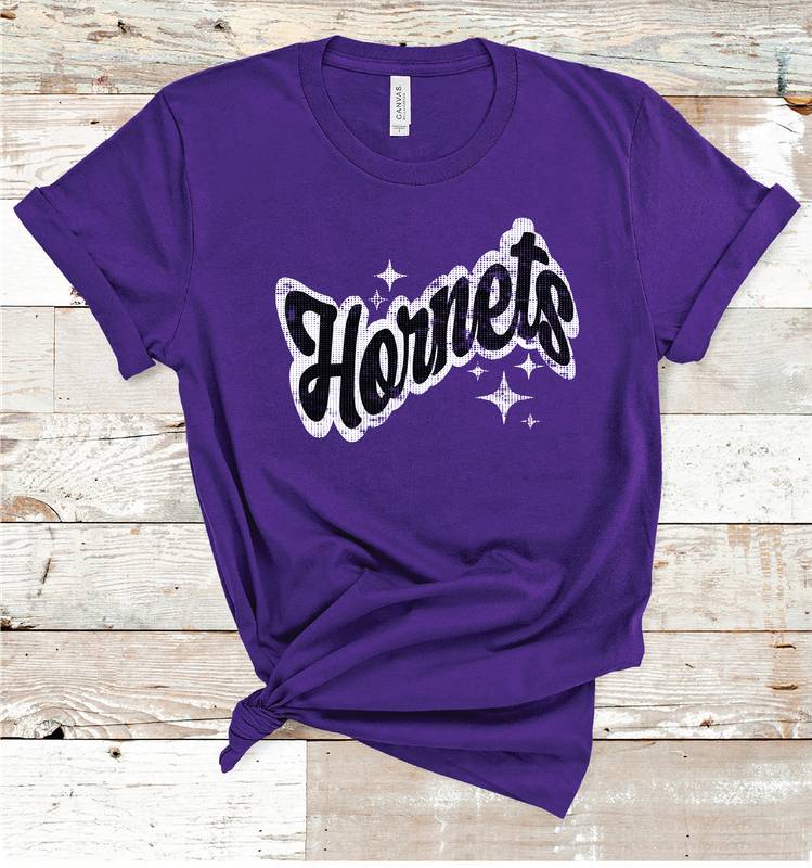 2024 IRION COUNTY  GROOVY (PURPLE)