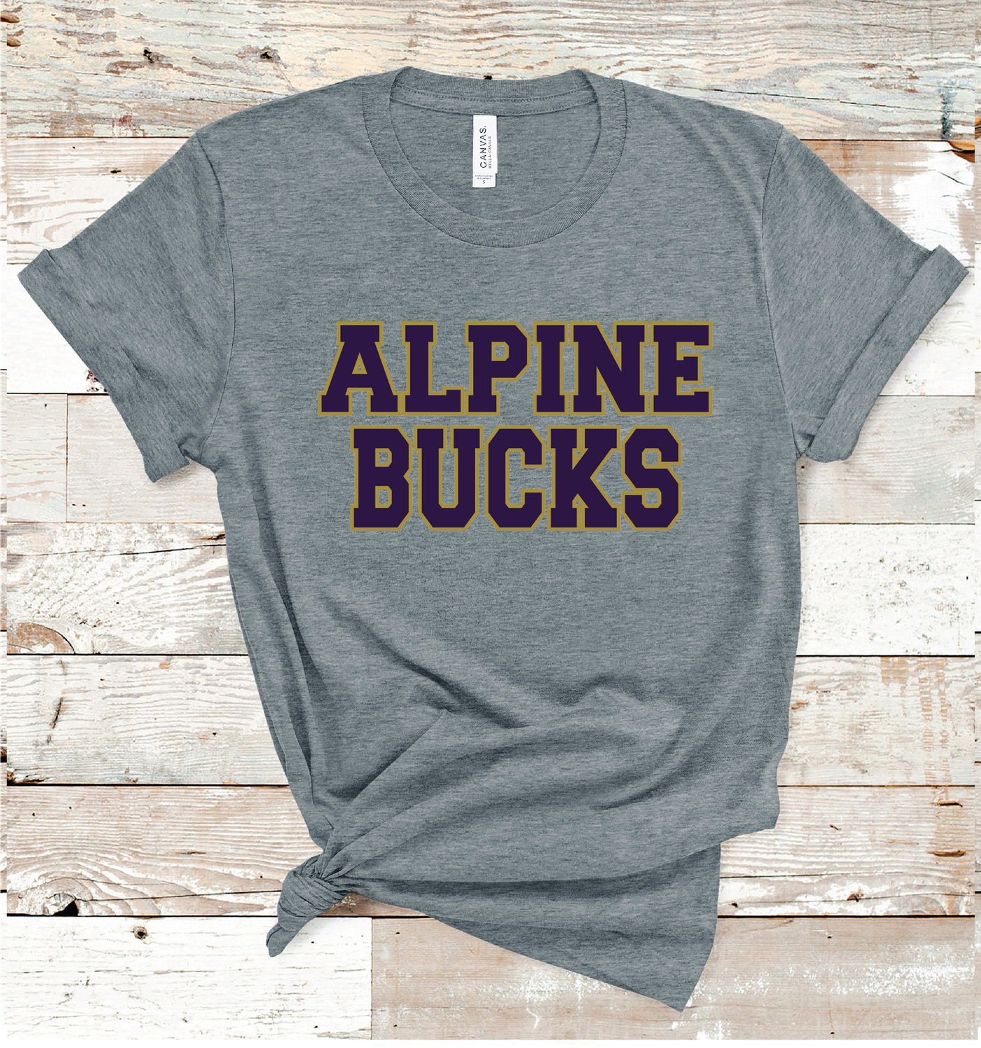 2024 ALPINE SCHOOL COLORS (DARK GRAY)