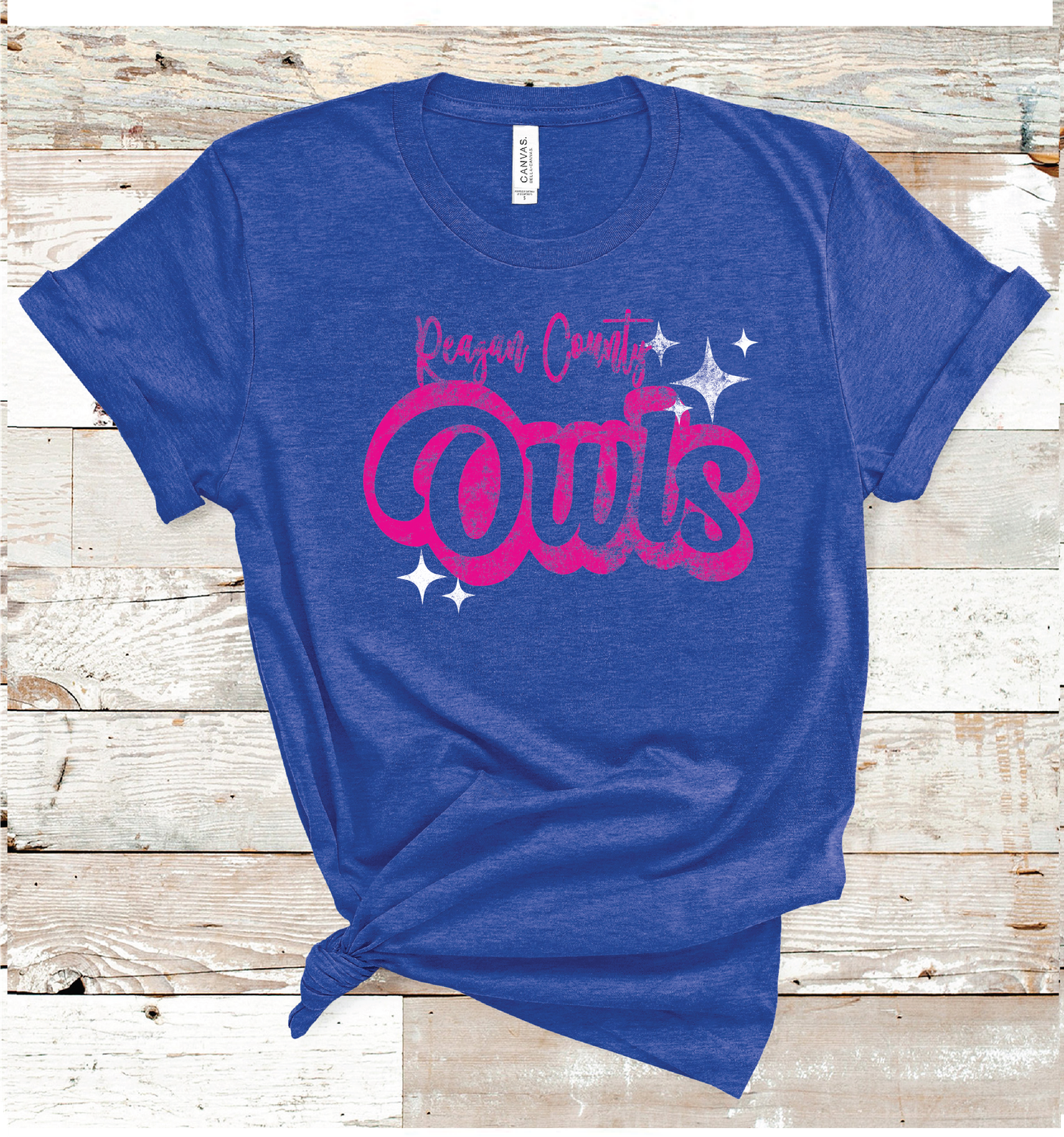 2024 REAGAN COUNTY PINK WORDING  (HEATHER BLUE)