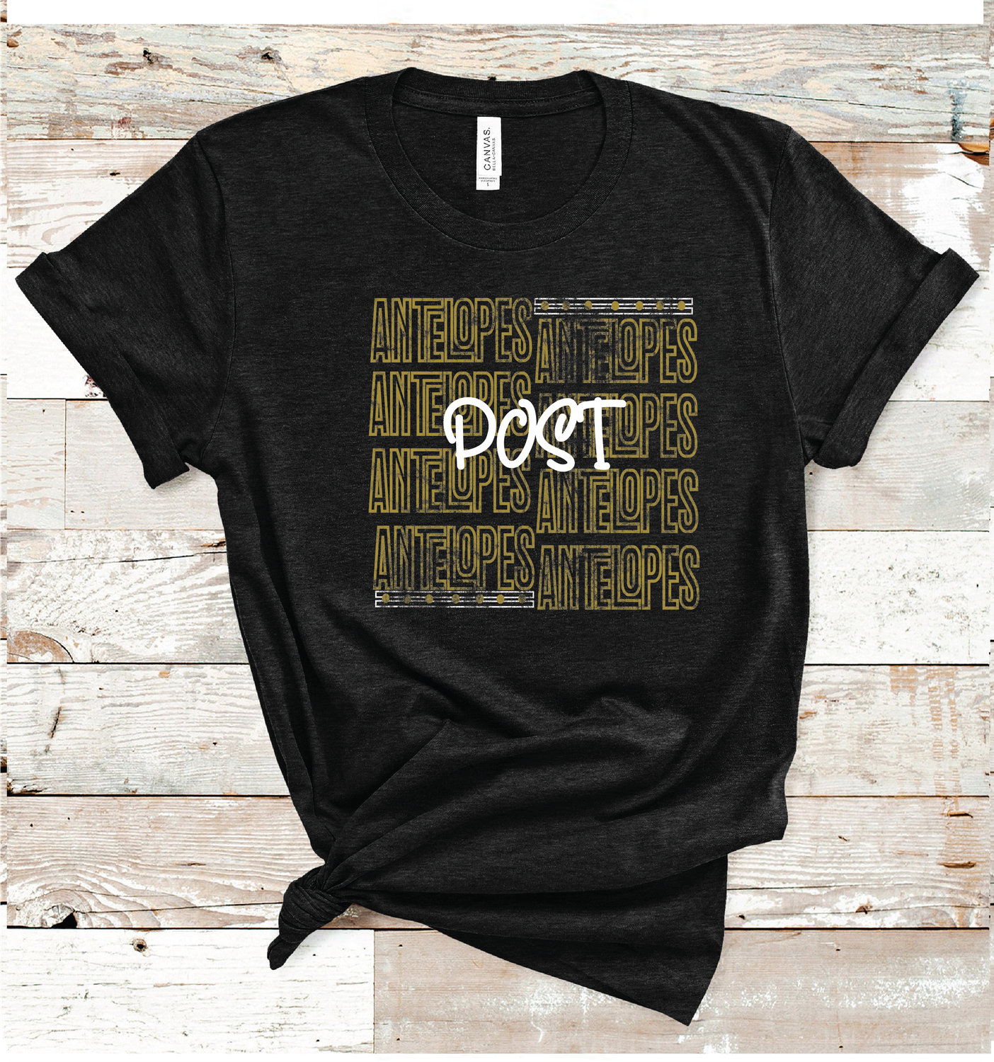 2024 POST ANTELOPES OUTLINE ( HEATHER BLACK)
