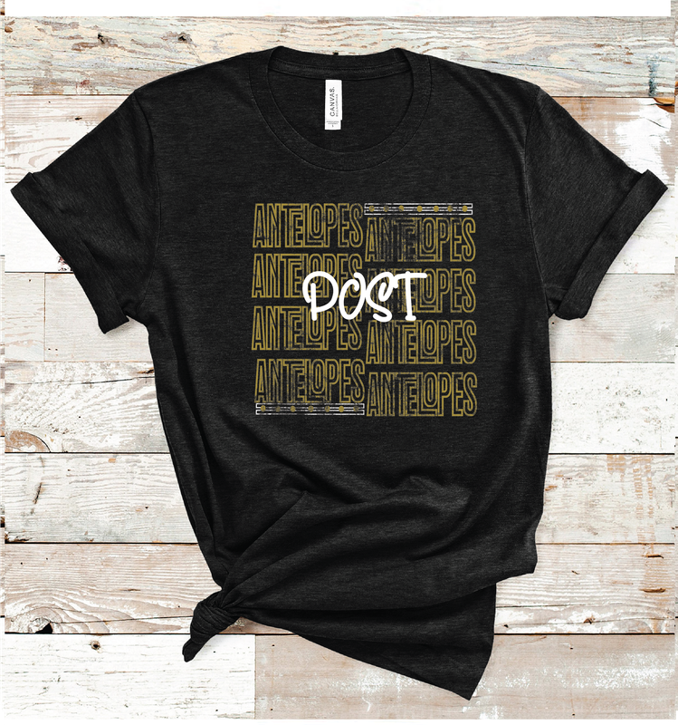 2024 POST ANTELOPES OUTLINE ( HEATHER BLACK)
