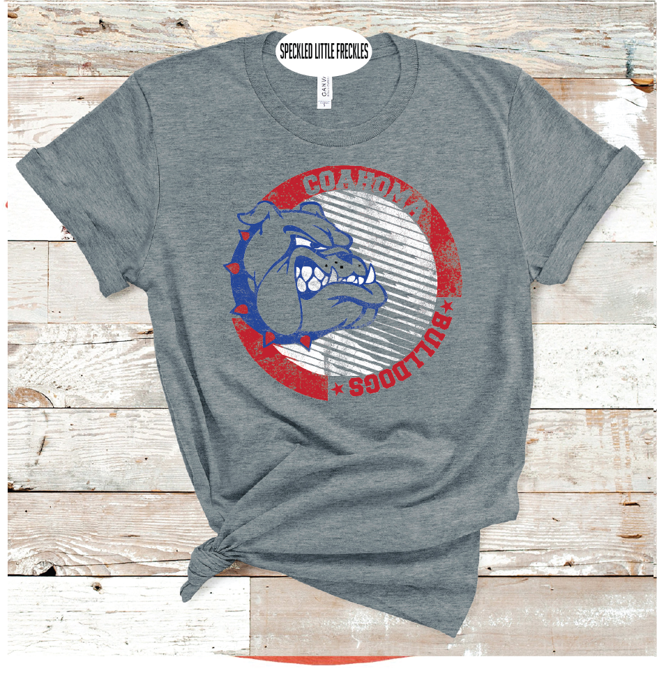2025 COAHOMA STRIPE CIRCLE  (DARK GRAY)