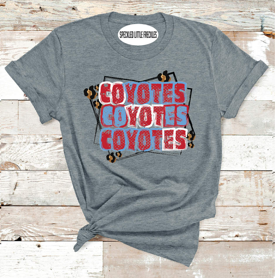 2025 BORDEN COYOTES BOXED (DARK GRAY)