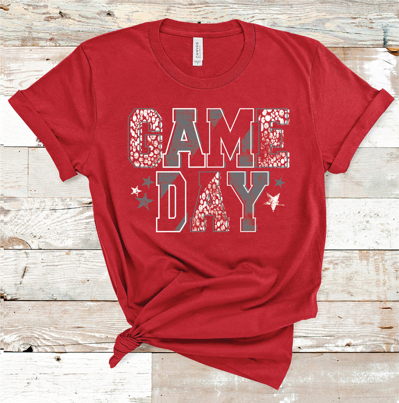 2025 STANTON GAME DAY - PICK YOUR COLOR