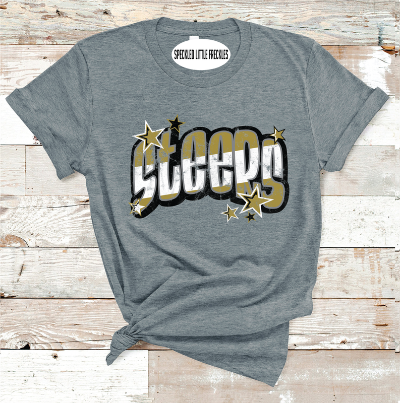 2025 BIG SPRING STEERS CHARMED  (DARK GRAY)