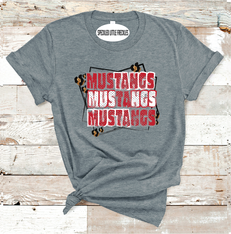 2025 DENVER CITY MUSTANGS BOXED  (DARK GRAY)