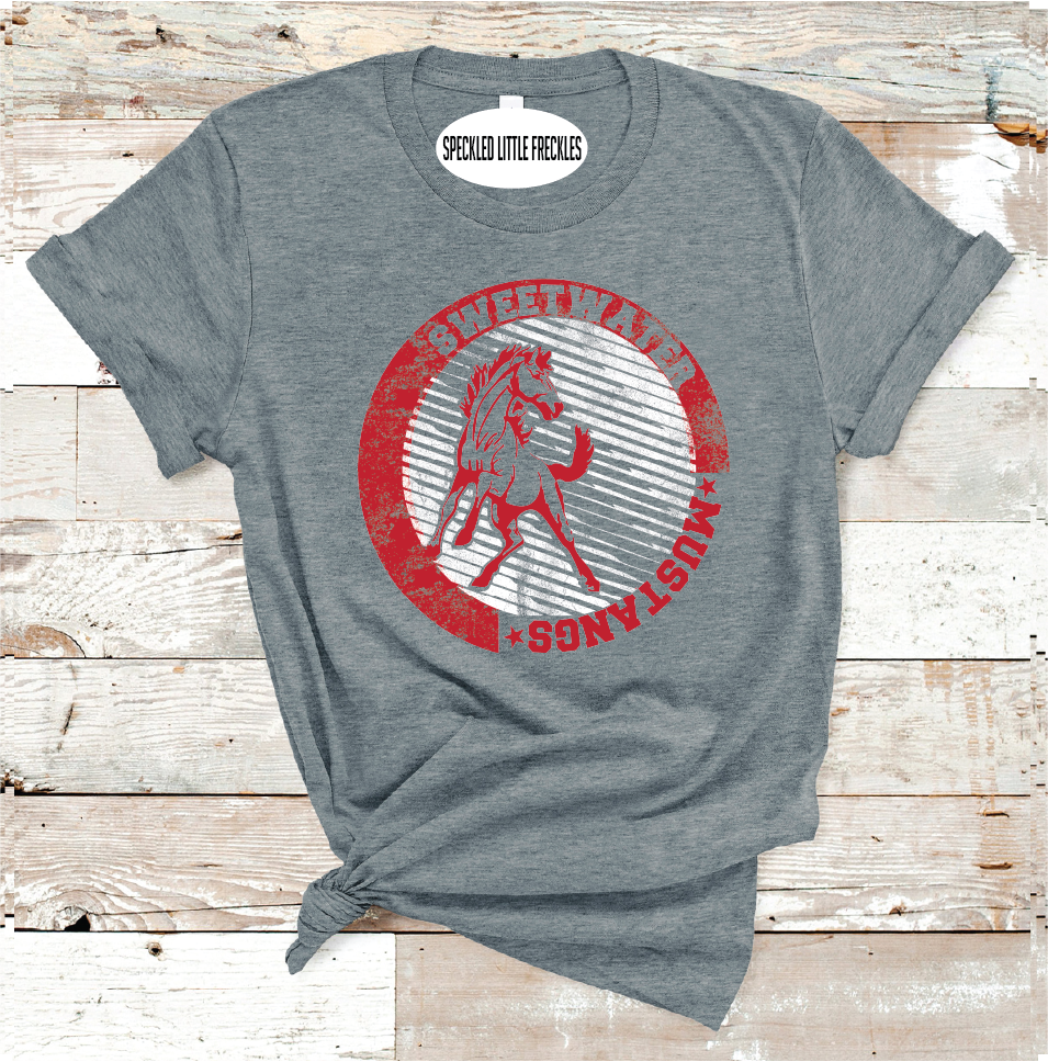 2025 SWEETWATER MUSTANGS STRIPE CIRCLE (DARK GRAY)
