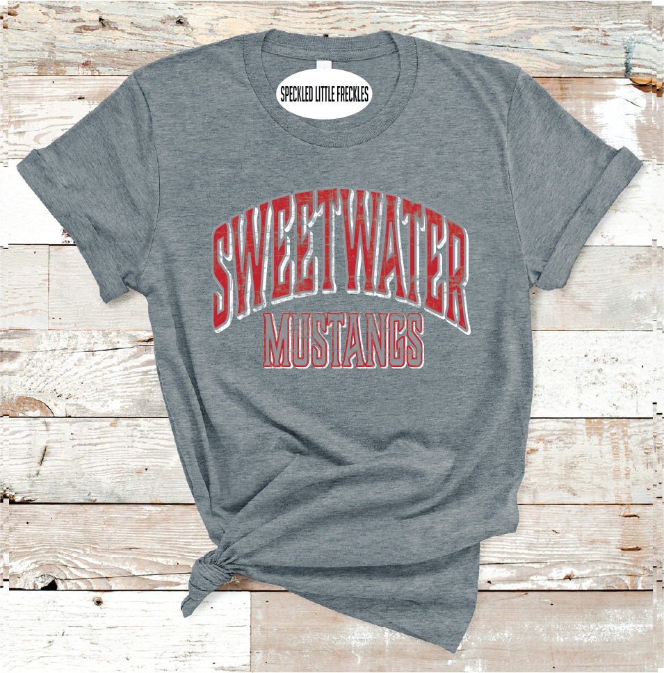 2025 SWEETWATER SCHOOL COLORS (DARK GRAY)