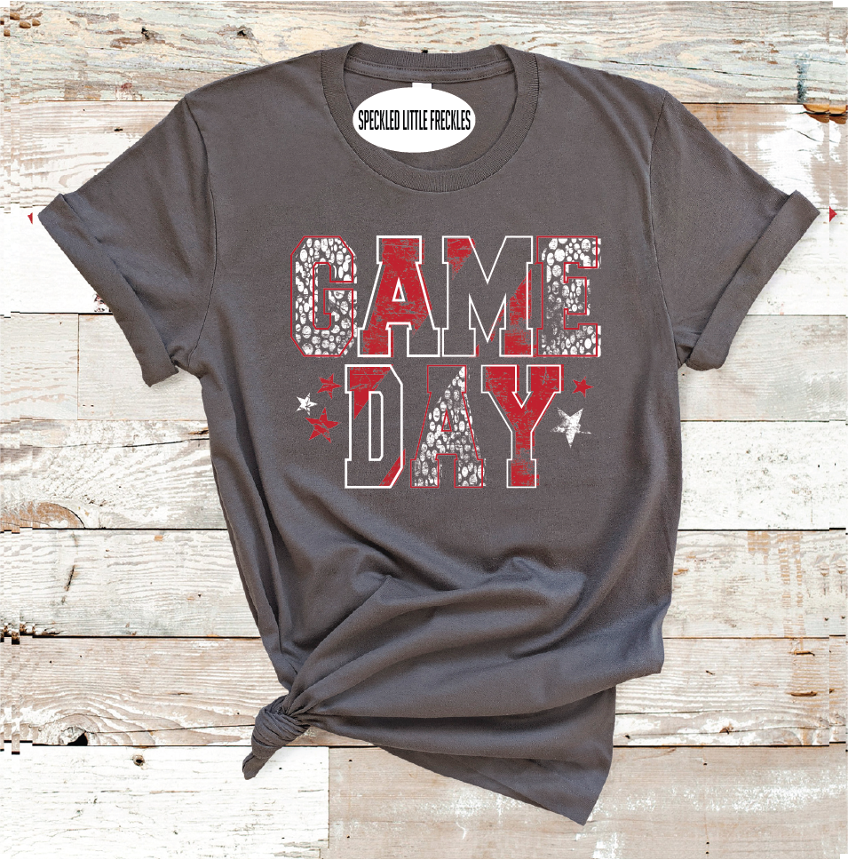 2025 SWEETWATER GAME DAY  (CHARCOAL)