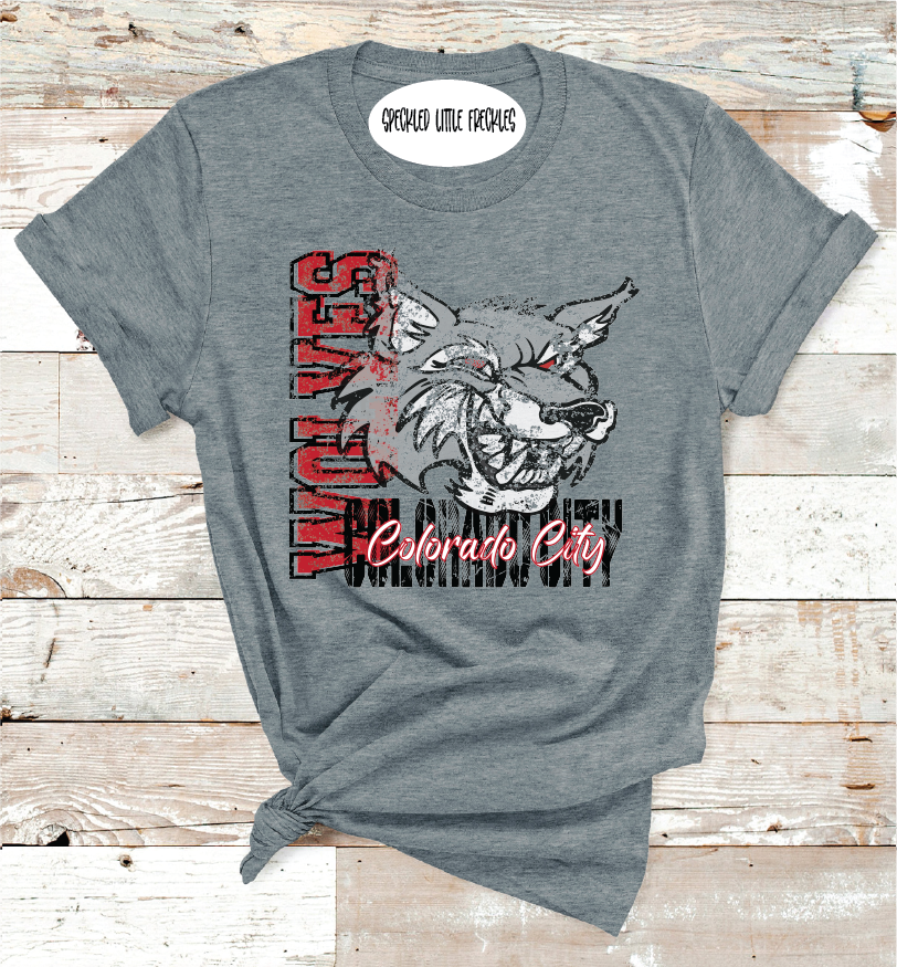 2025 COLORADO CITY VINTAGE (DARK GRAY)