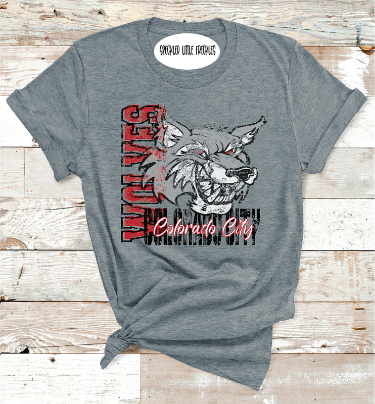 2025 COLORADO CITY VINTAGE (DARK GRAY)
