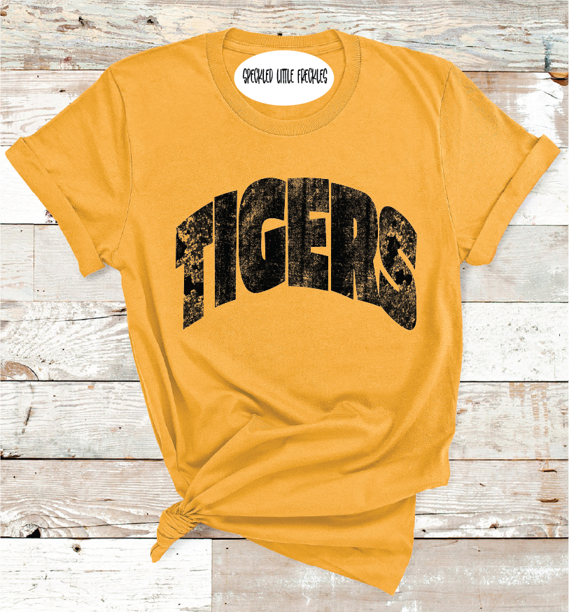 2025 SNYDER MASCOT NAME PICK YOUR COLOR