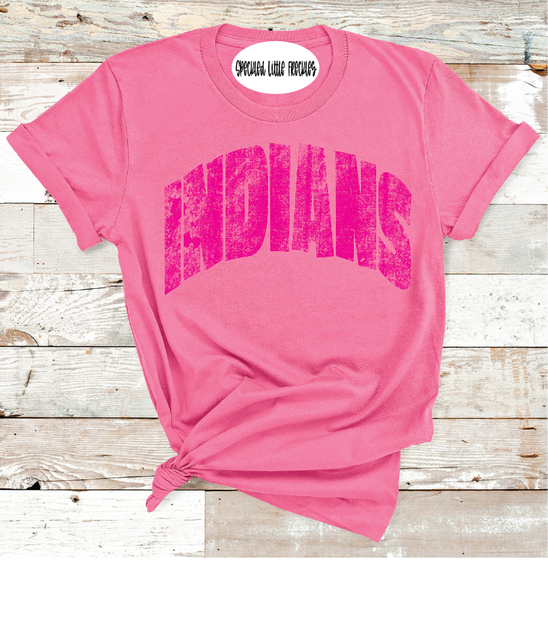 2025 SEMINOLE MASCOT NAME PICK YOUR COLOR