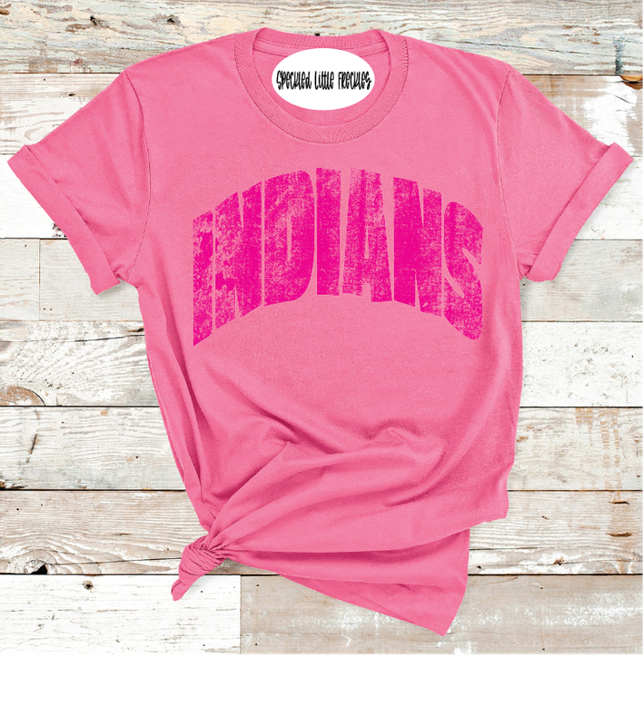 2025 SEMINOLE MASCOT NAME PICK YOUR COLOR