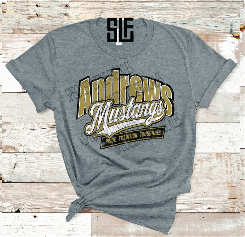 2026 ANDREWS PRIDE AND TRADITION (DARK GRAY)