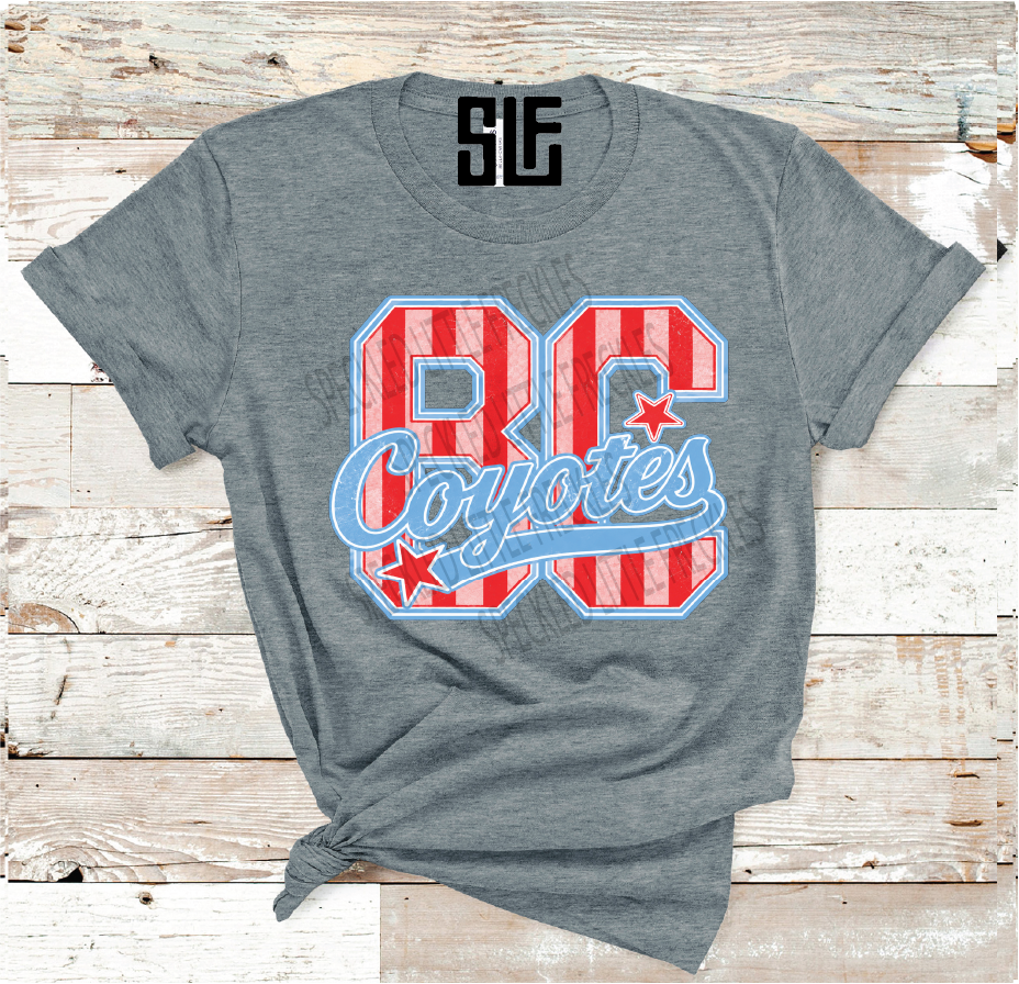 2026 BORDEN COUNTY STRIPE AND STAR LETTER (DARK GRAY)