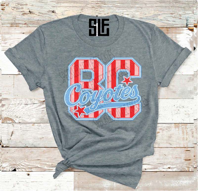 2026 BORDEN COUNTY STRIPE AND STAR LETTER (DARK GRAY)