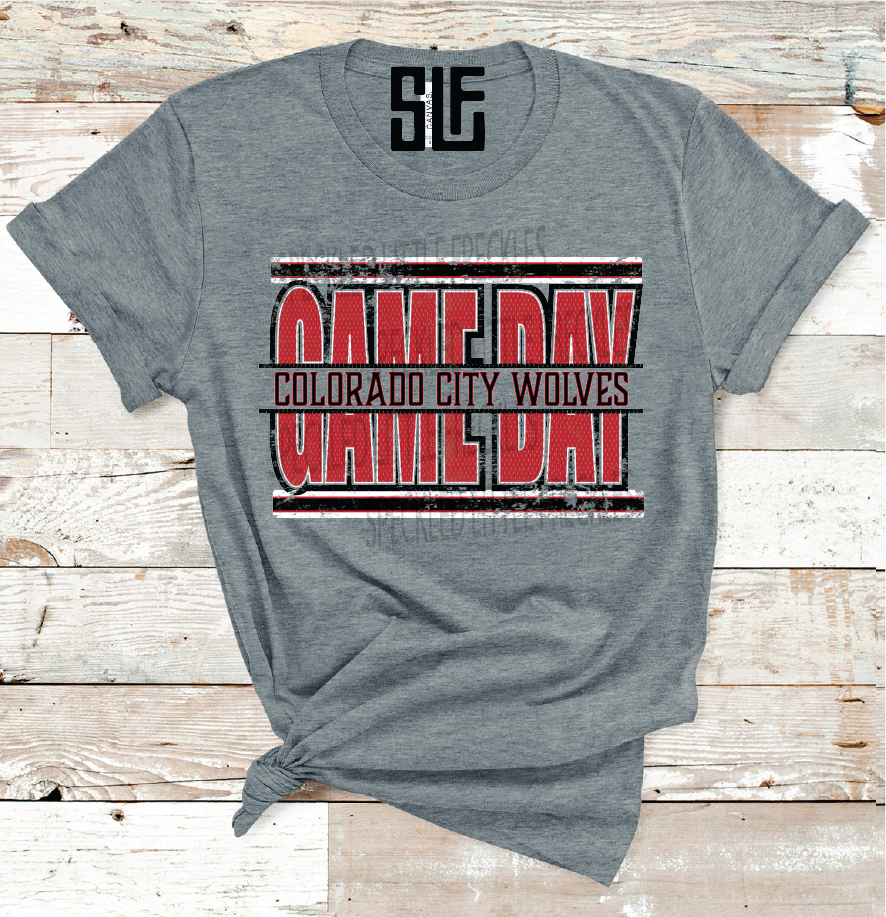 2026  CUSTOM GAME DAY JERSEY (DARK GRAY)