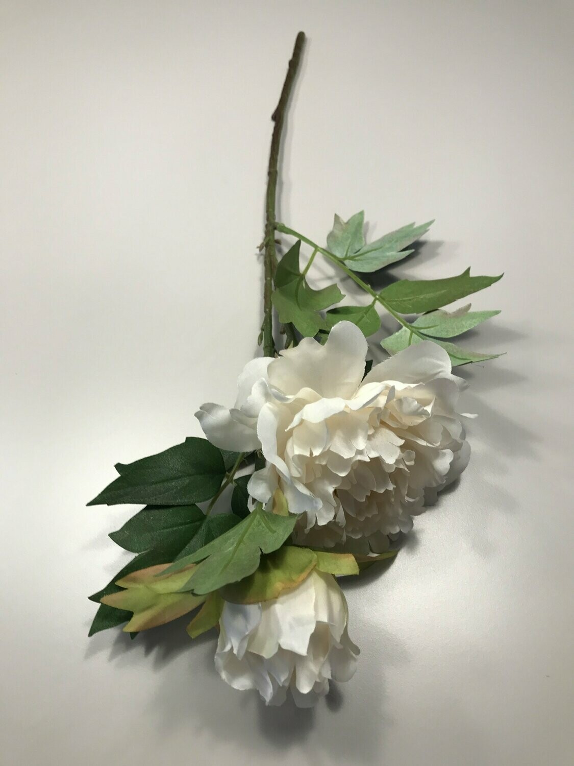 White Fashion Peony