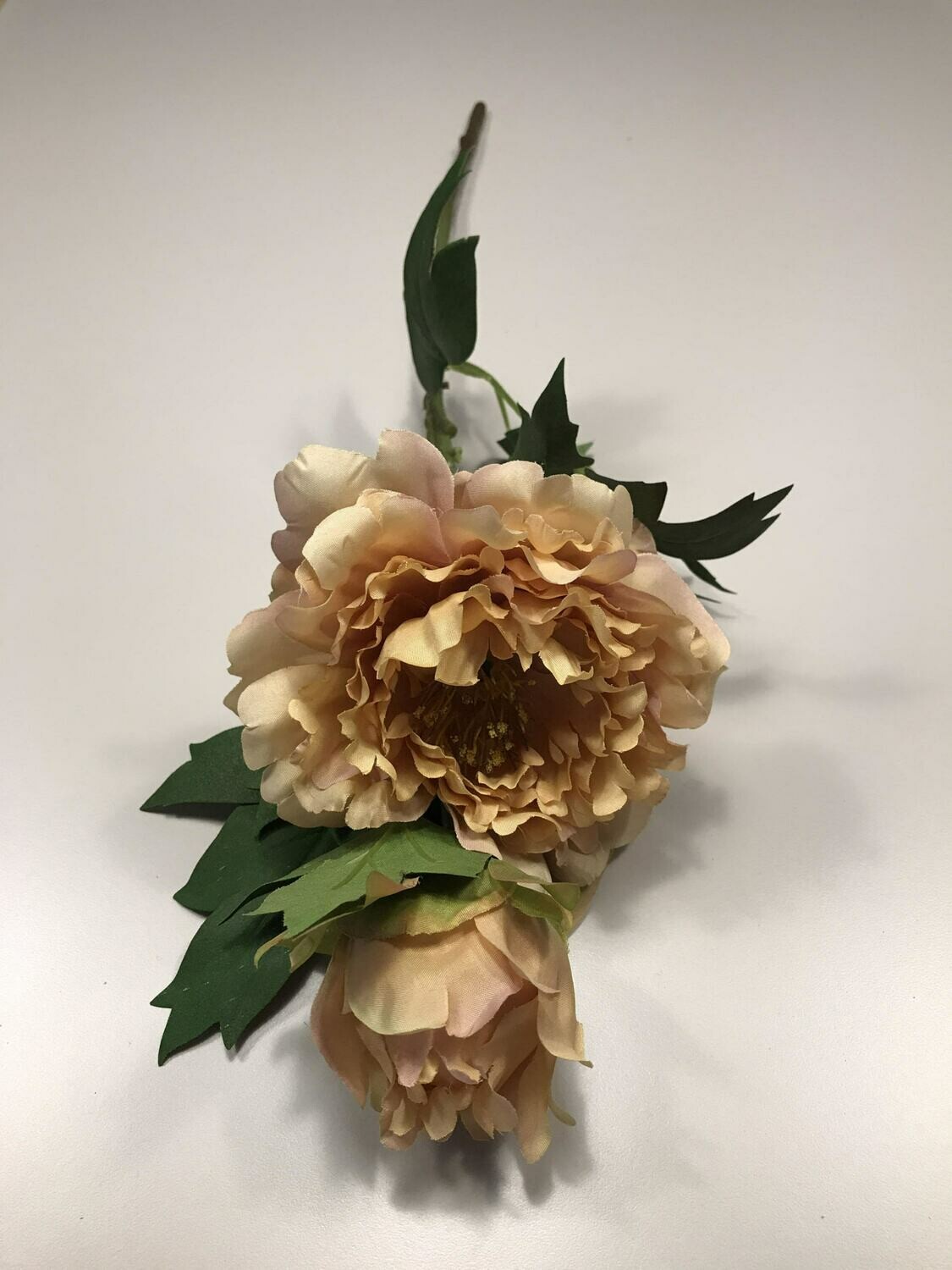 Yellow Fashion Peony