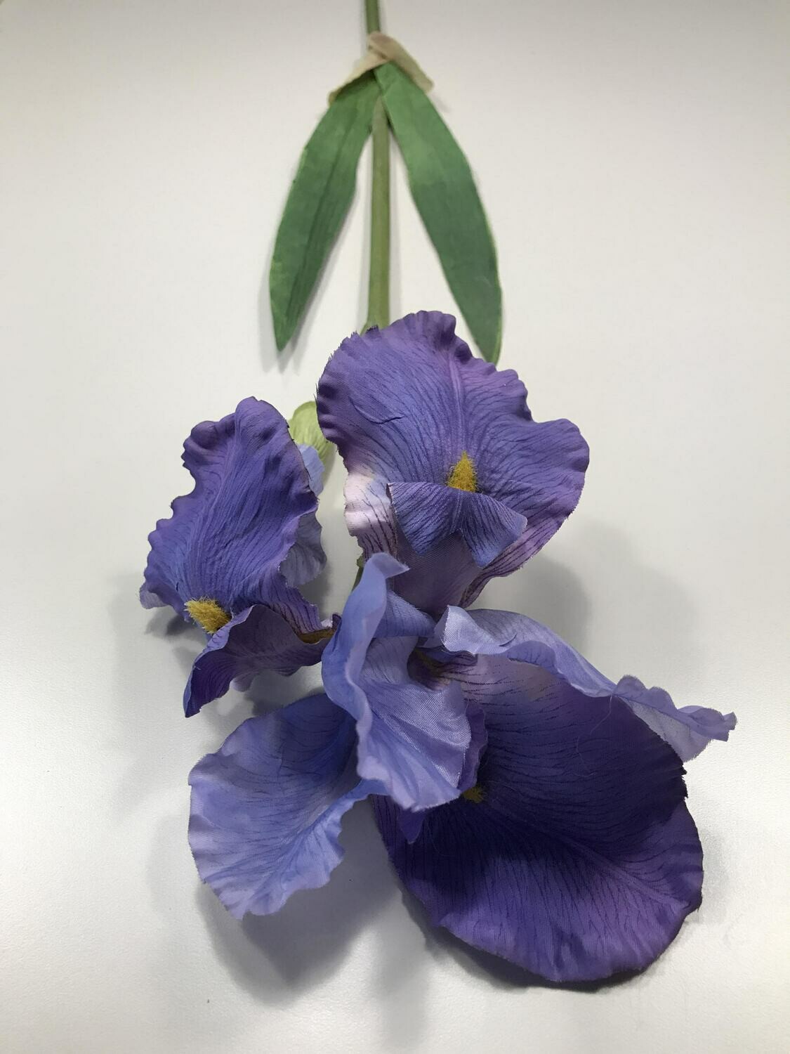 Iris Mauve