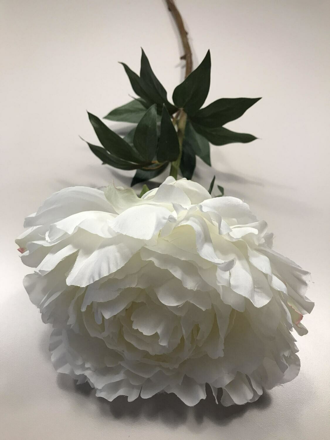 87cm White Peony