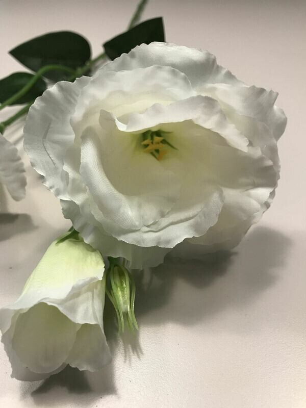White Lisianthus Spray