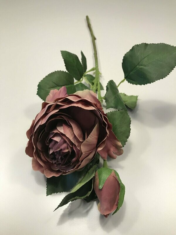 Dusty Pink Spray Rose Peony