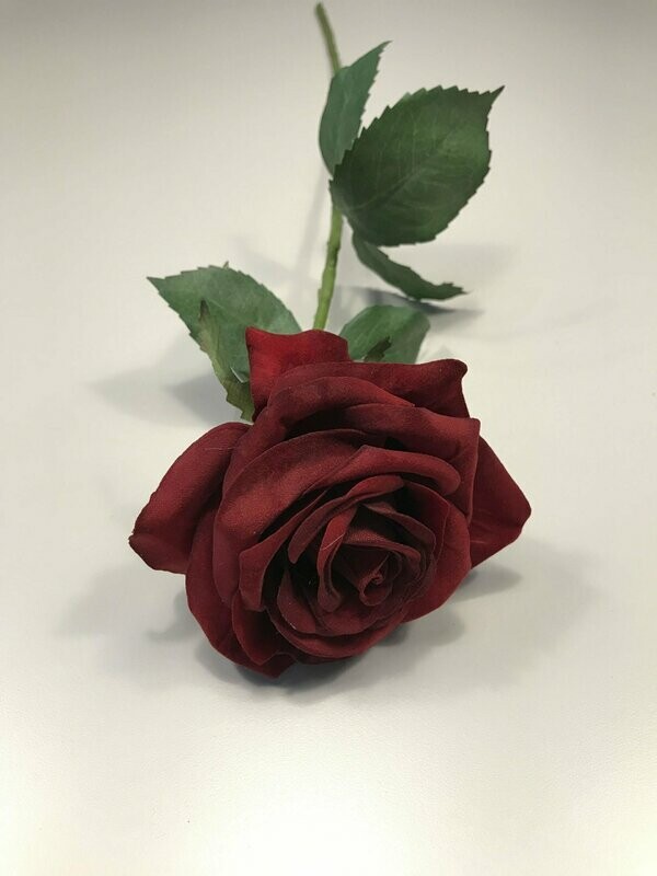 Red Rose Open Velvet