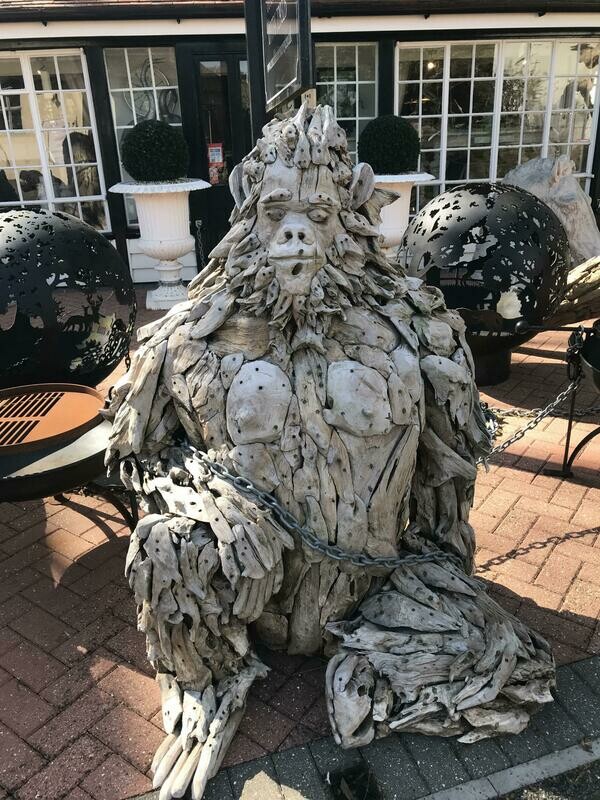 Root Gorilla