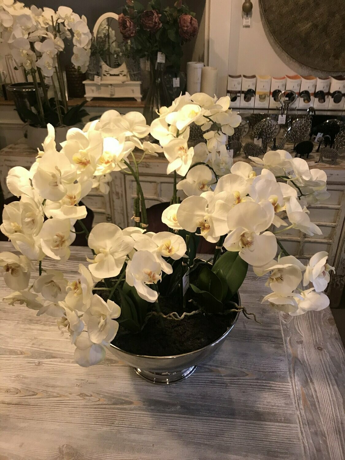 Phalenopsis In Rose Bowl