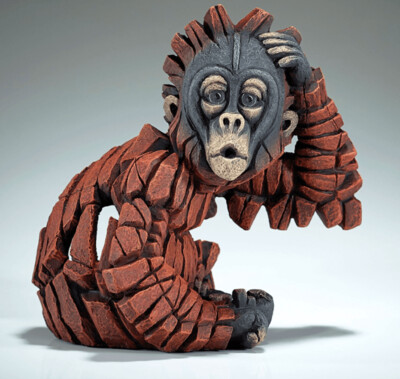Baby "Oh" Orangutan With £18 Donation - The Jim Cronin Memorial Trust