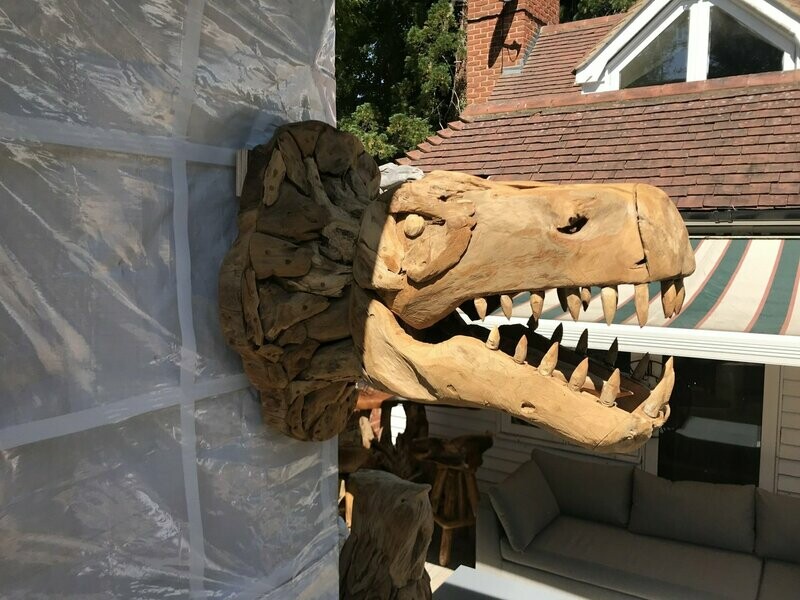 Root Dinosaur Head