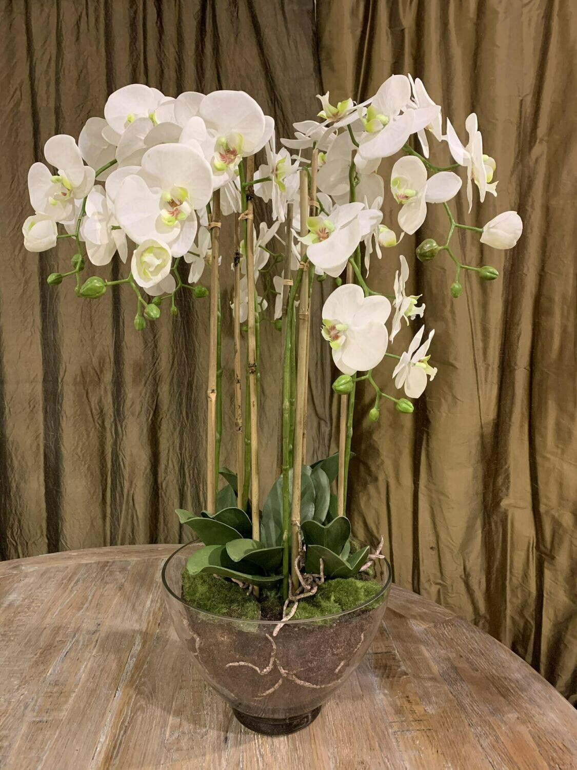 Large White Orchid in Glass Pot