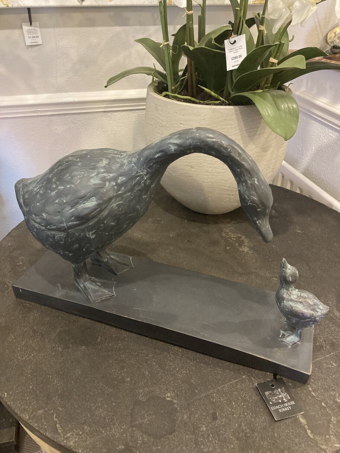 Mother And Gosling