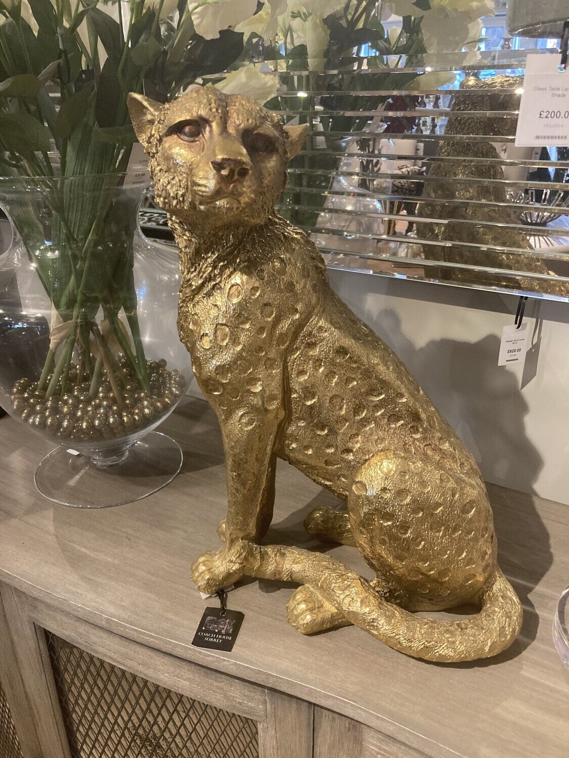 Gold Tiger