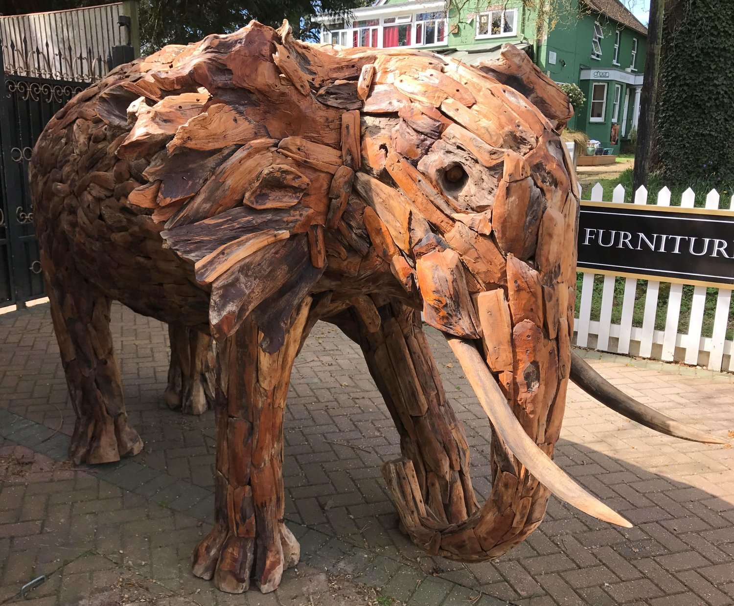 Large Elephant