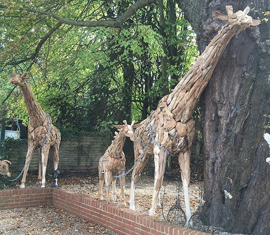 Medium Giraffe