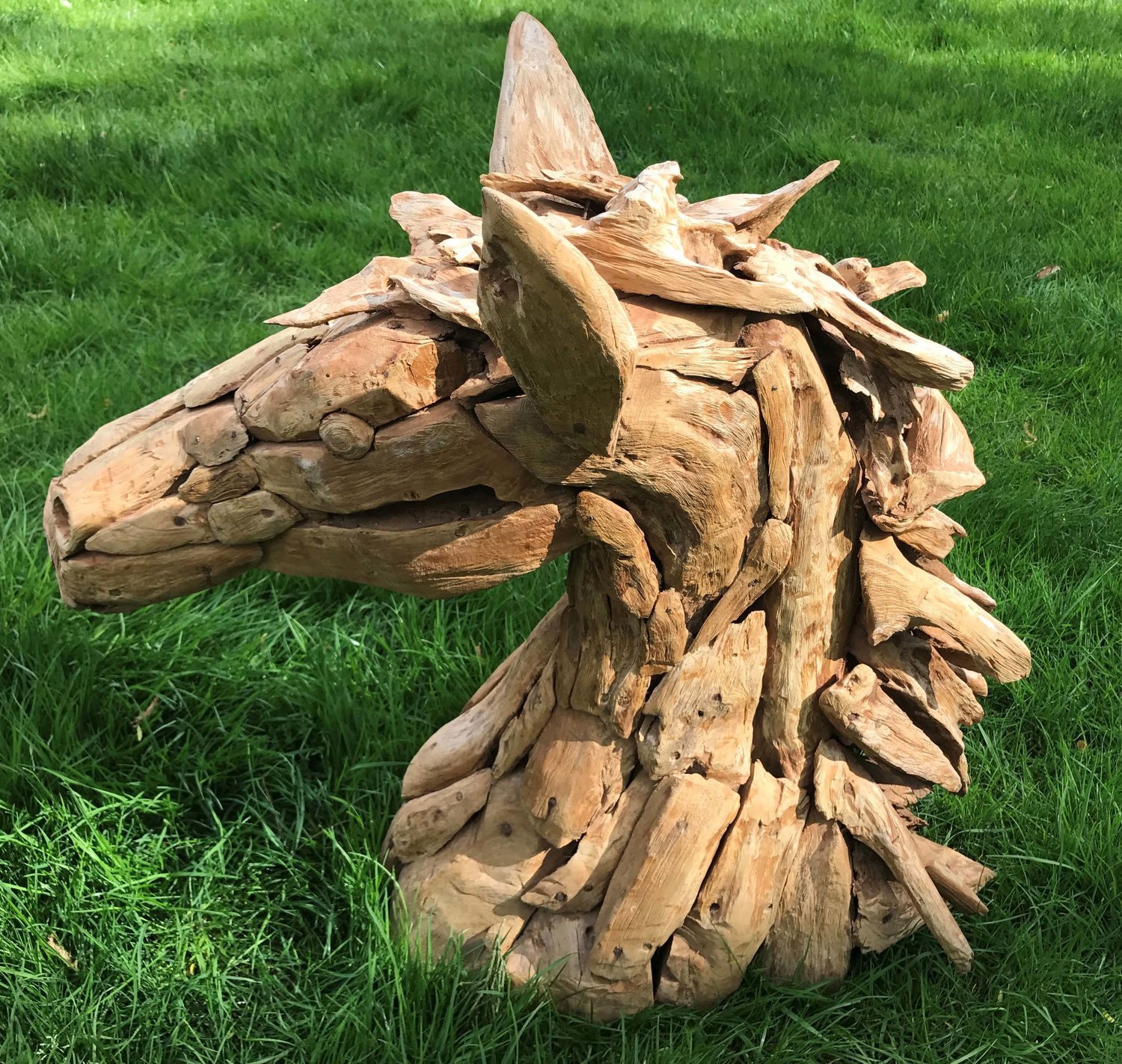 Horse Head