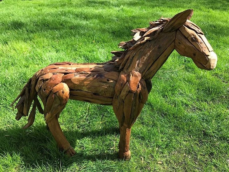 Mini Horse Walking