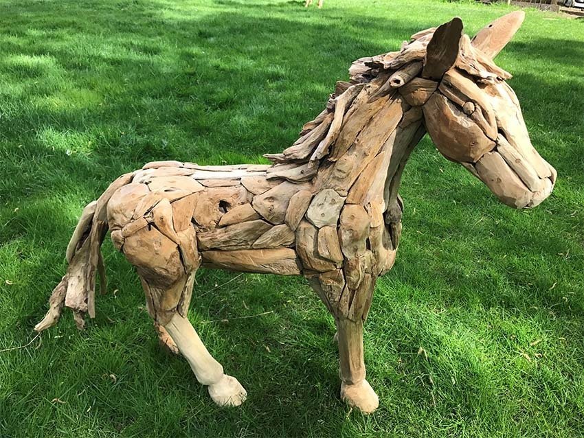 Small Horse Walking