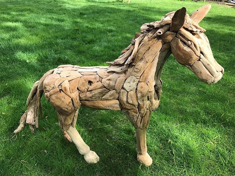 Small Horse Walking