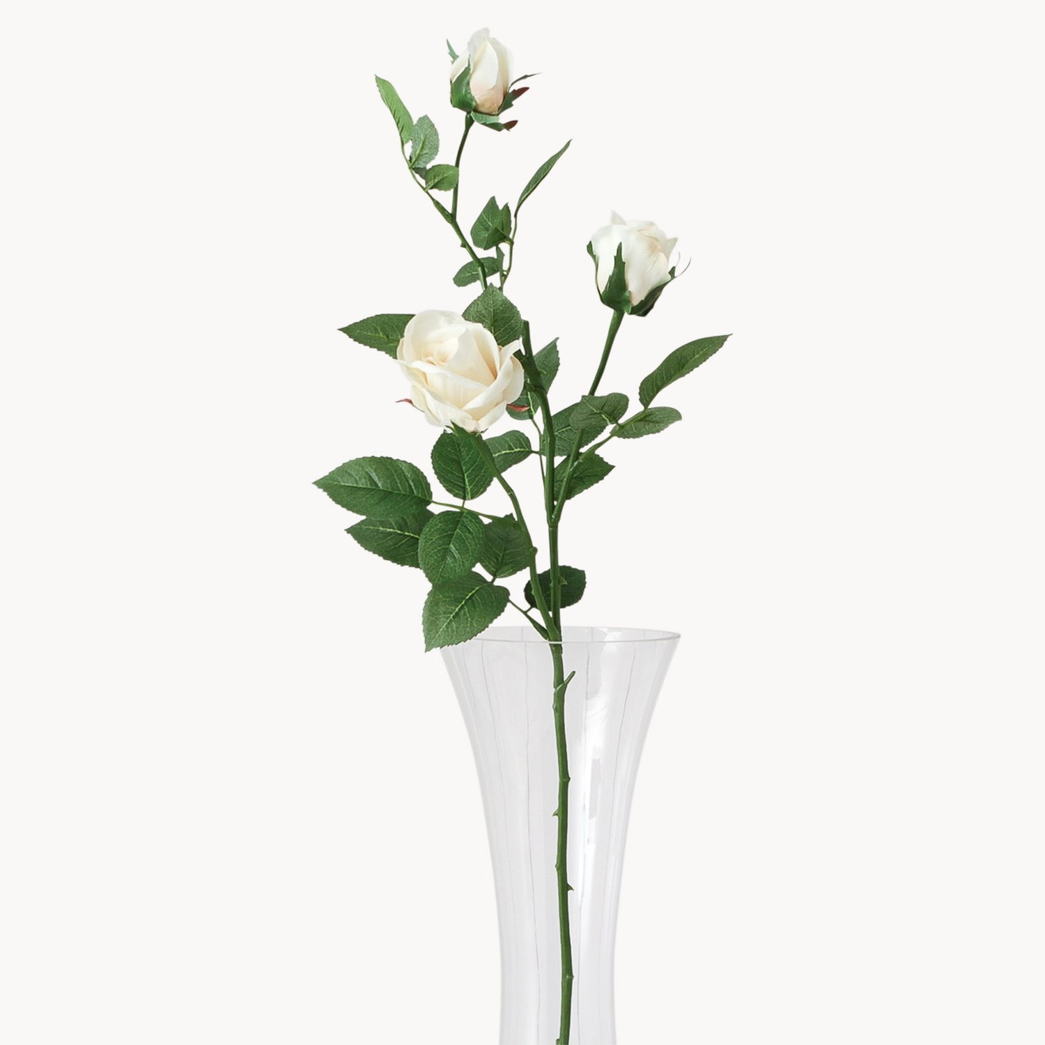 Sunbury Vanilla Rosebud