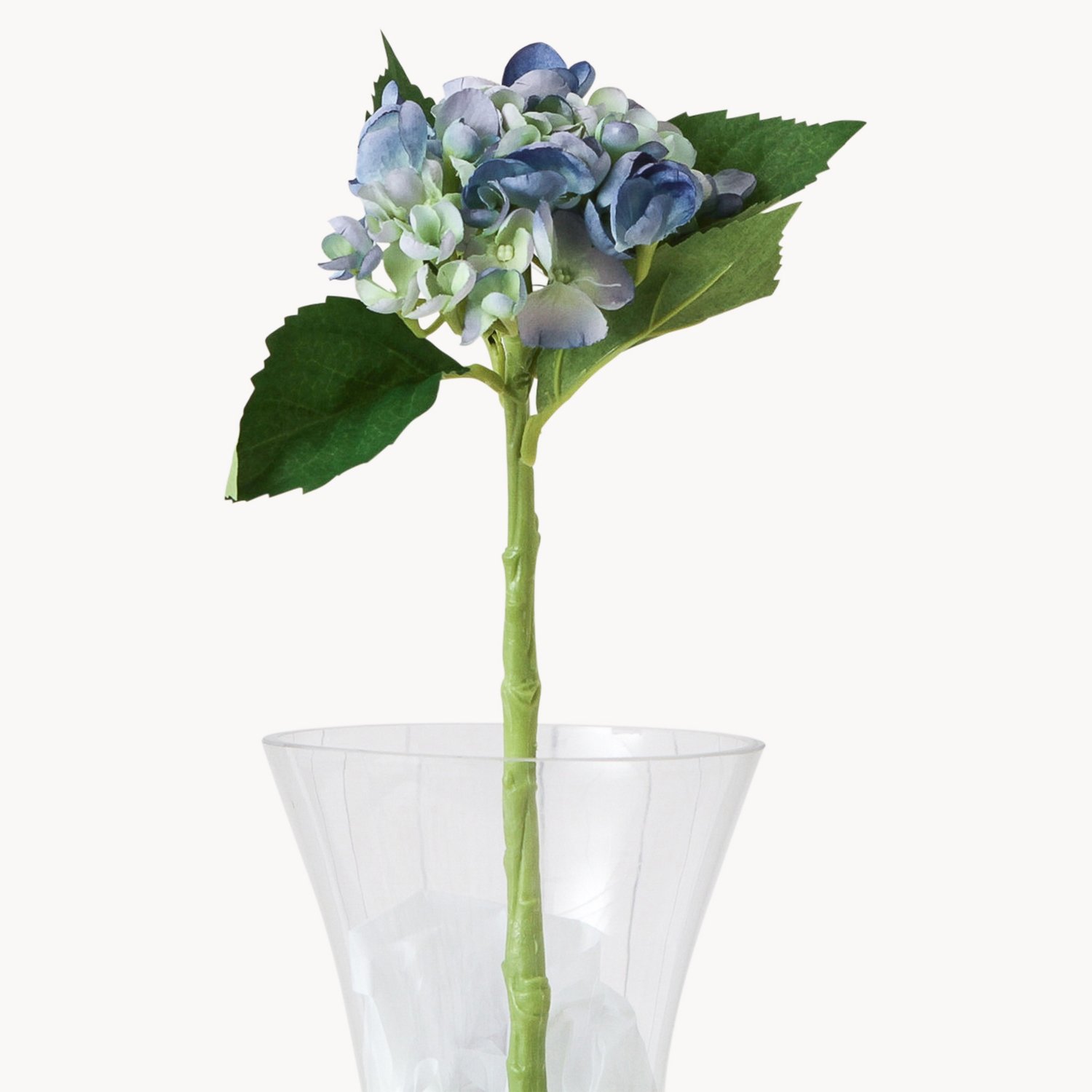 Sunbury Blue Hydrangea