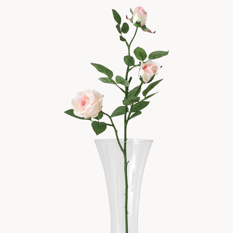 Sunbury Pink Rosebud